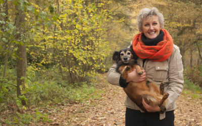 Stats Confirm Advantage of Pets