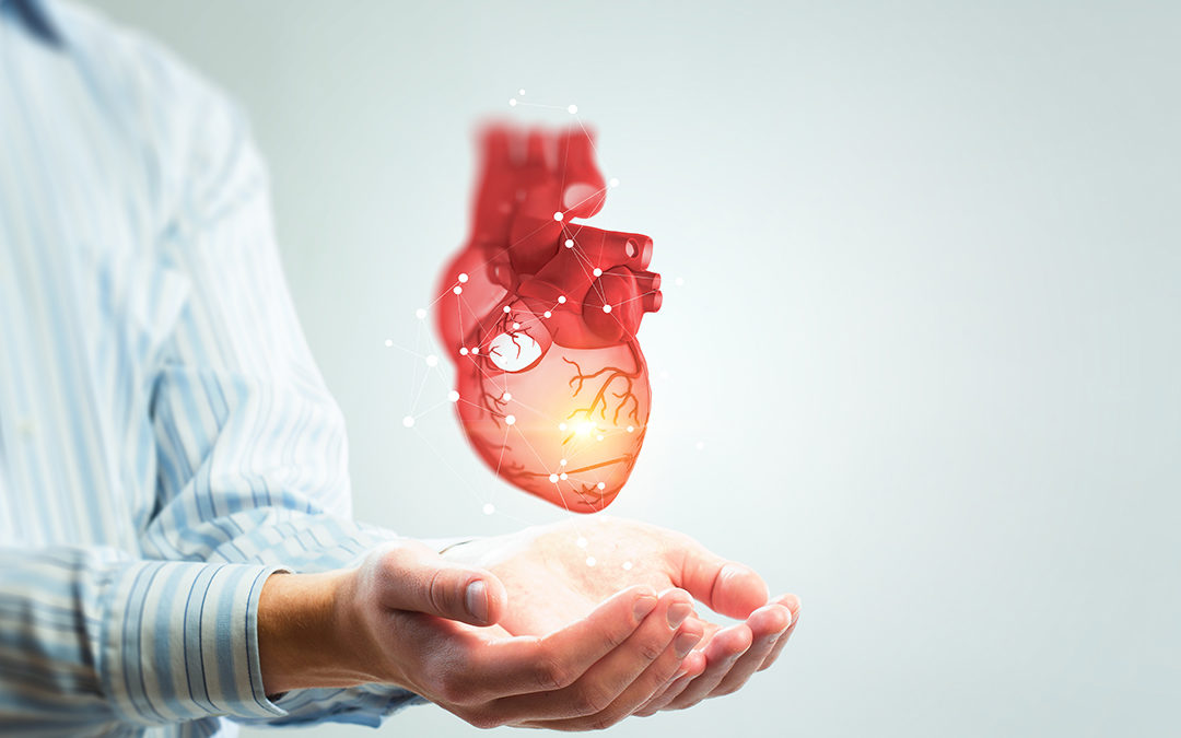 Watchman Device West Compass